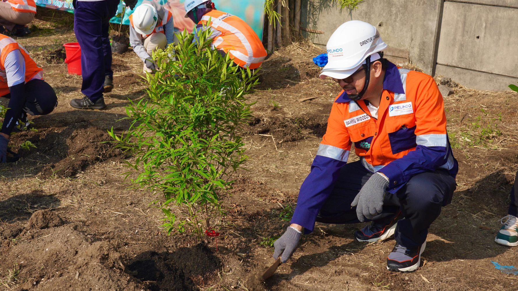 Melalui Program “High Plantation, Zero Emission”, TPS Berkontribusi pada Pengurangan Emisi Karbon