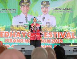 Festival Pisang Ngambon Perdana, Wakil Bupati Targetkan Jadi Agenda Tahunan Penggerak UMKM