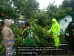 Quick Respon Polsek Babat Evakuasi Pohon Tumbang 