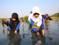 Fasilitas Terus Dikembangkan, Omzet UMKM Kebun Raya Mangrove Surabaya Tembus Rp605 Juta