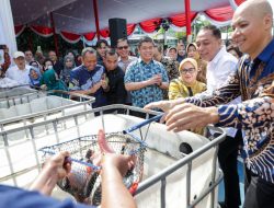 Wali Kota Eri Targetkan Produksi Nila dan Hidroponik Kelompok Tani Surabaya Masuk Hotel dan Restoran