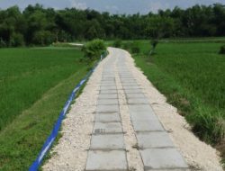 Pemkab Bojonegoro Bangun 163 Jalan Usaha Tani di 2026