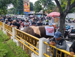 Tolak di Pindahkan ke RPH yang Baru Ratusan Paguyuban Jagal dan Pedagang Daging Demo Ke DPRD Surabaya 