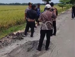 Jalan Baru di Ngampal Bojonegoro Ambles