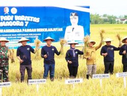 Panen Perdana Gamagora 7, Bojonegoro Target Jadi Lumbung Padi Nasional 2028