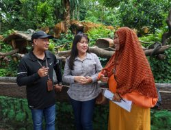 Operasional Tetap Berjalan, PDTS KBS Jamin Kesejahteraan Satwa Jadi Prioritas Utama