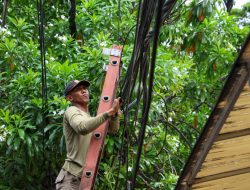 Pemkot Surabaya Tertibkan Utilitas Kabel FO dan Tiang Provider di Kawasan Jalan  Adityawarman