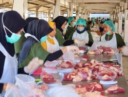 Pasokan Sapi Aman, RPH Surabaya Pastikan Pasokan Daging Stabil Sepanjang Ramadan