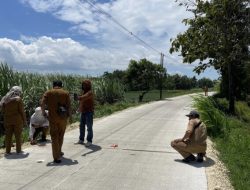 Pembangunan Desa di Kedungadem Masif, Lebih dari 20 Kilometer Jalan Dibangun Lewat BKKD 2025