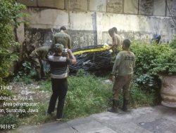 Satpol PP Surabaya Kembali Segel Proyek Indihome Tak Berizin di Kedung Cowek