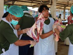 RPH Surabaya Obral Daging Iga di Pasar Murah Ramadan