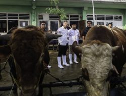 Wali Kota Eri Terbitkan SE Idul Adha 2026, Hewan Kurban Masuk Surabaya Wajib Vaksin PMK dan Kantongi SKKH 