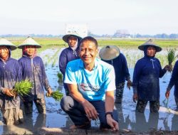 Medhayoh di Ngraho, Bupati Bojonegoro Tinjau Sawah Petani dan Sambangi Penerima Program Gayatri