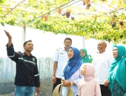 Green House Anggur Sendangharjo dan Afida Batik Jadi Ikon Pemberdayaan Masyarakat Bojonegoro