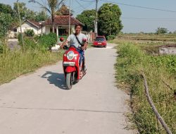 Sentuhan BKKD Pemkab Bojonegoro di Banjarejo: Infrastruktur Membaik, Ekonomi Warga Kian Bergerak