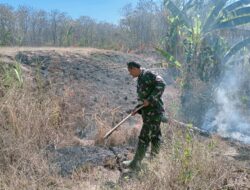 Gerak Cepat Babinsa Koramil 0812/19 Laren Padamkan Kebakaran Lahan di Gampangsejati