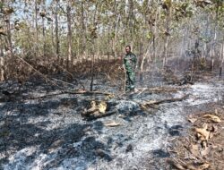 Babinsa Koramil 0812/08 Sambeng Padamkan Titik Api Lahan Perhutani di Desa Wonorejo