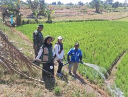 Babinsa Sertu M. Dawud Dampingi Penyaluran 15.000 Liter Air Bersih untuk Sawah Petani di Sugio