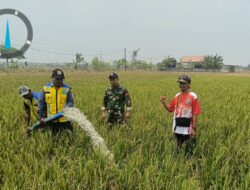 Babinsa Lebakadi Dampingi Pendiatribusian 18.000 Liter Air Bersih Untuk Pertanian