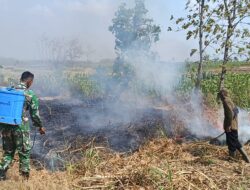 Koramil Modo Bersama Tim Gabungan Berhasil Padamkan Kebakaran Lahan di Desa Medalem