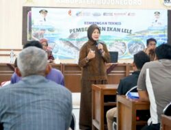 Tingkatkan Kualitas Benih Lele, Pemkab Bojonegoro Dorong Kemandirian Ekonomi Pembudidaya