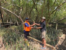 TPS Konsisten Melakukan Pembibitan dan Penanaman Mangrove, Perkuat Komitmen Pelestarian Ekosistem Pesisir dan Lingkungan Pelabuhan