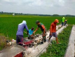 Perkuat Ketahanan Pangan, Babinsa Koramil 0812/07 Bluluk Bersama Warga Gotong Royong Buat Jalan Usaha Tani